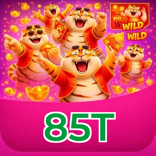 Termos e Condições Transparentes 85T