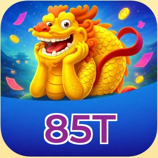 FAQ - Perguntas Frequentes 85T